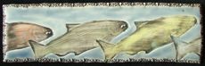 salmon fish tile