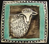 sheep